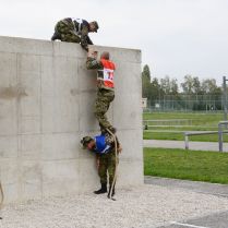 Summer Survival 2018 zahájen