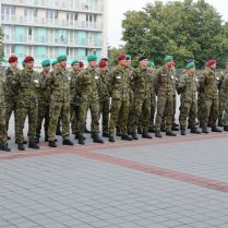 Summer Survival 2019 zahájen